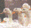 Cría de Patos