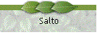 Salto