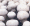 Cultivo de Champin Ostra