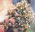 Cultivo de Organo