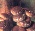 Hongo Shiitake